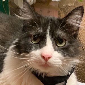 Meet your Posher, Eva